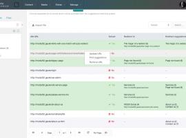 SEOSuite redirect options